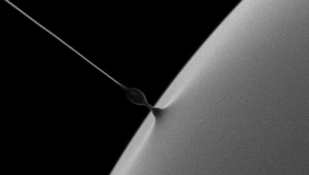 Nanomechanical Sensing for Mass Flow Control in Nanowire-Based Open Nanofluidic Systems